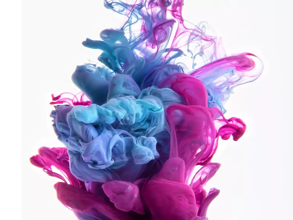 สีย้อมJINTONE DS